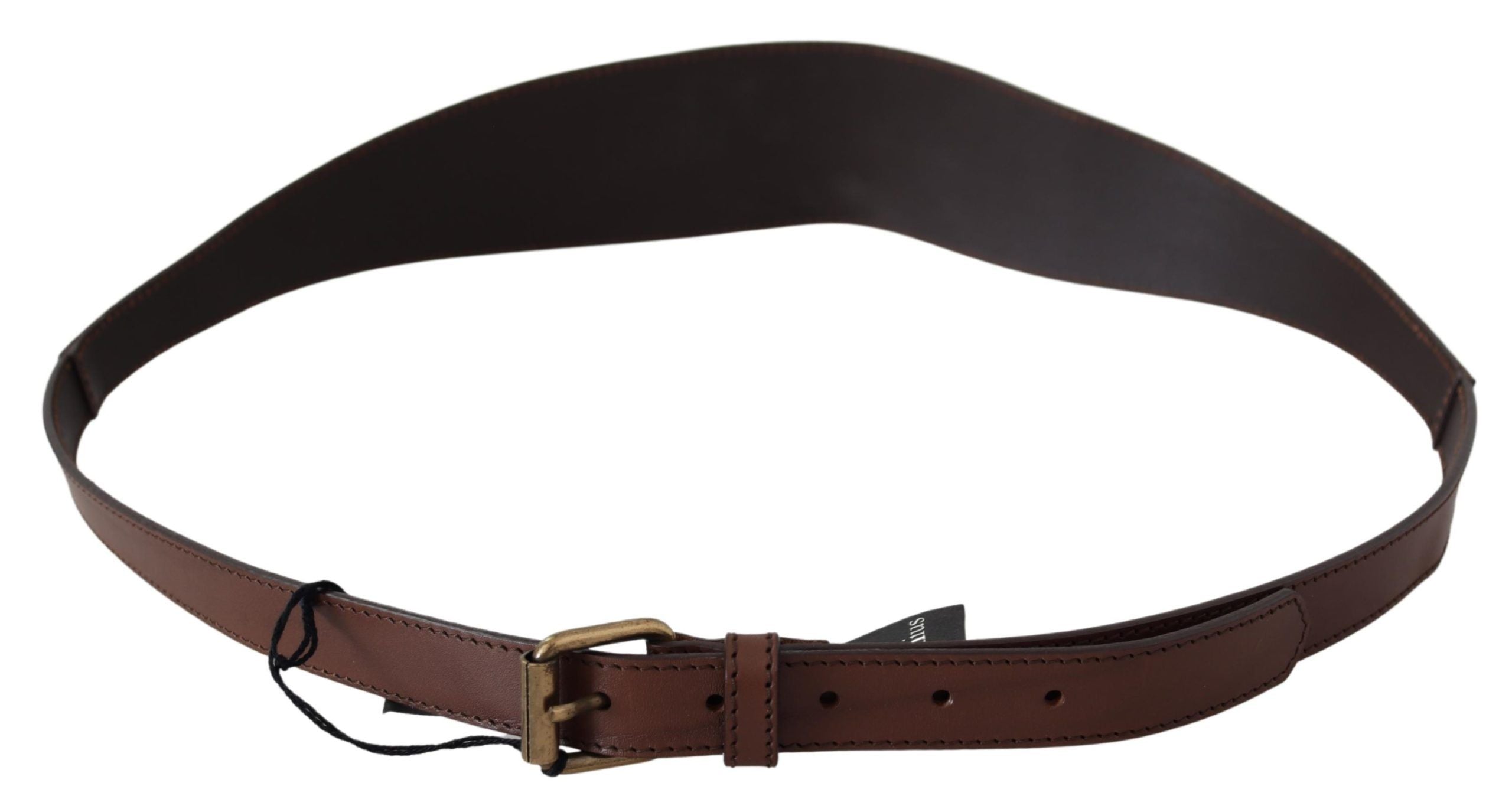 Ceinture PLEIN SUD Fashion brun foncé