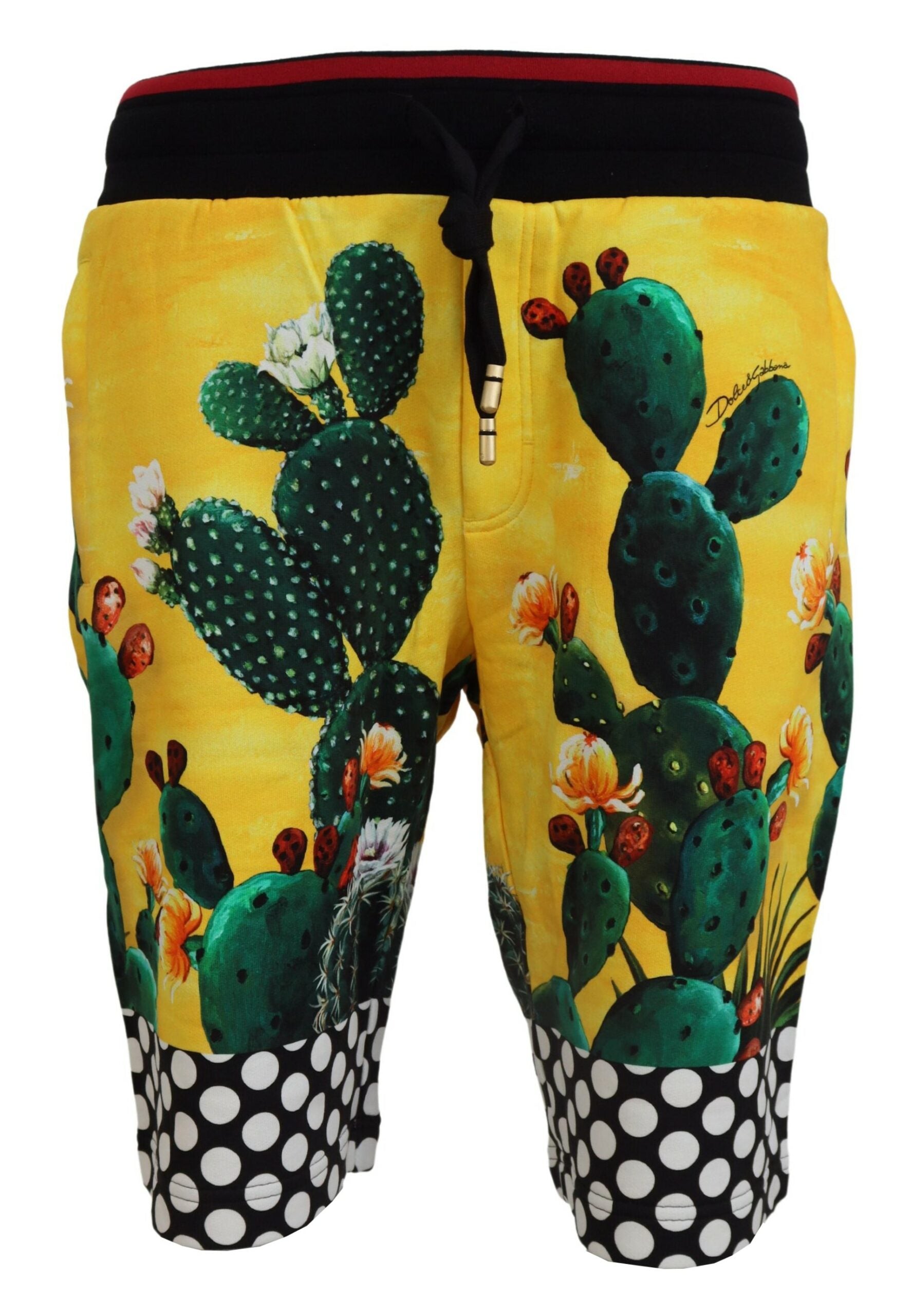 Shorts Dolce & Gabbana cactus multicolores
