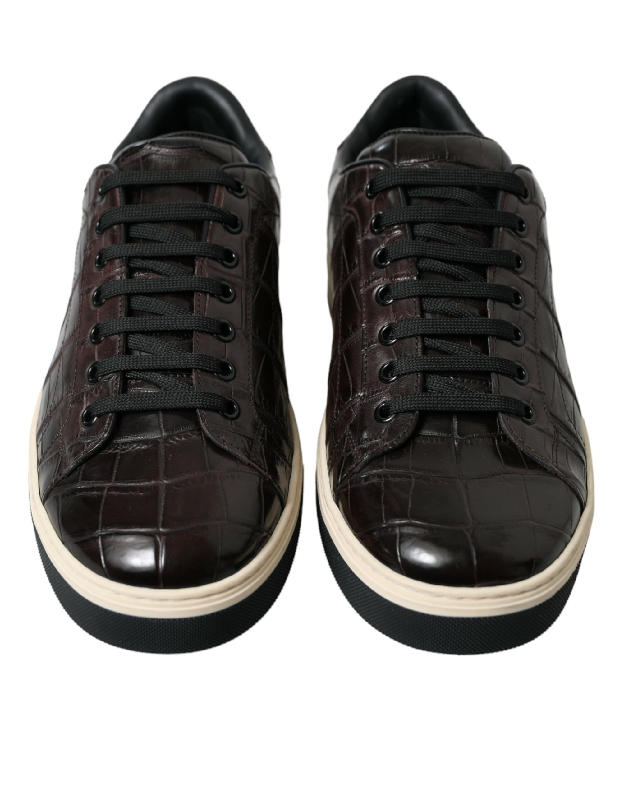 Baskets Dolce & Gabbana brunes