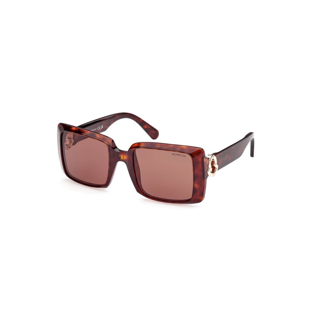 Lunettes Brown Pantograph marron