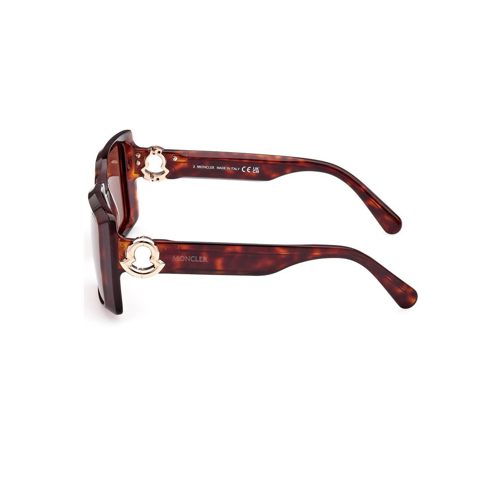 Lunettes Brown Pantograph marron